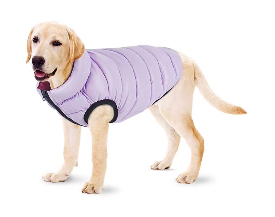 Winter Dog Coats & Vests